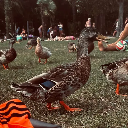 Apartment Casa Adele Tremosine